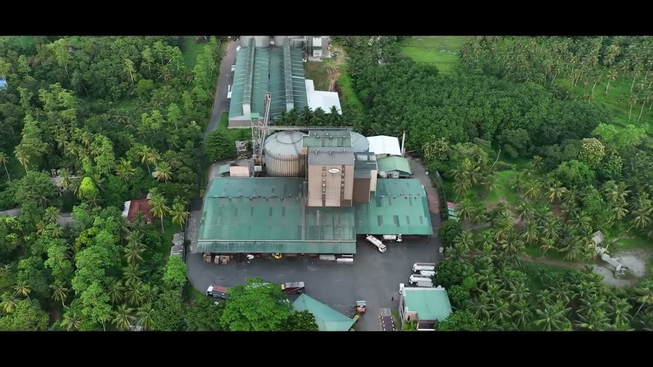 Aerial view of the Pussalawa hotel surrounded by forest
